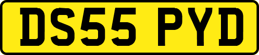 DS55PYD