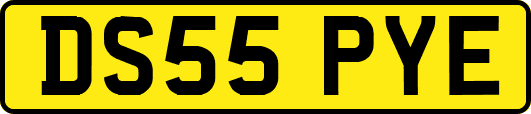 DS55PYE