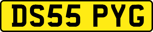 DS55PYG