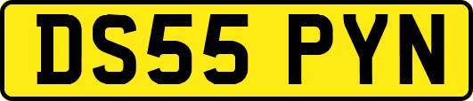 DS55PYN
