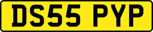 DS55PYP