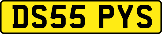 DS55PYS
