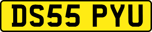 DS55PYU