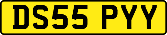 DS55PYY