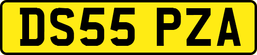 DS55PZA