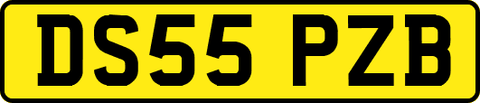 DS55PZB