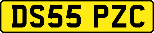 DS55PZC