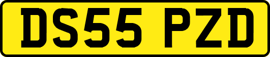 DS55PZD