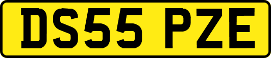 DS55PZE