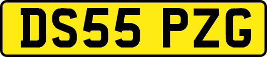 DS55PZG