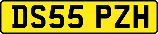 DS55PZH