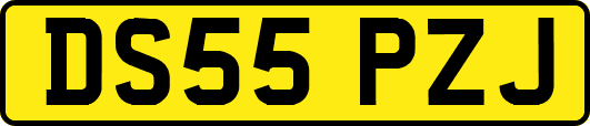 DS55PZJ