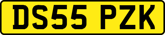 DS55PZK