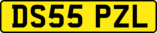 DS55PZL
