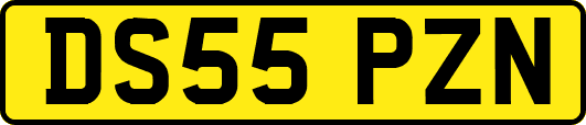 DS55PZN