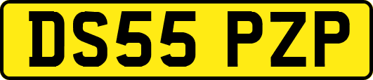 DS55PZP