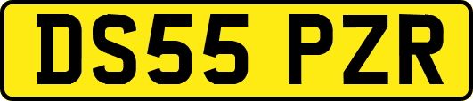 DS55PZR