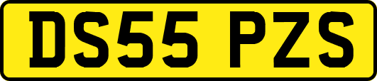 DS55PZS