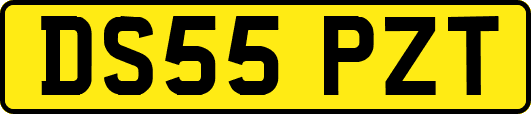 DS55PZT