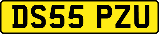 DS55PZU