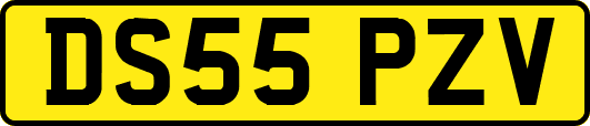 DS55PZV