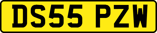DS55PZW