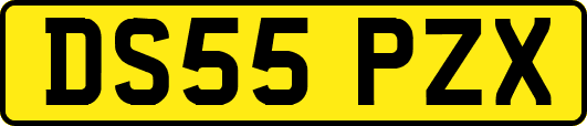 DS55PZX