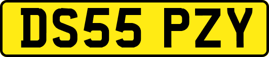 DS55PZY