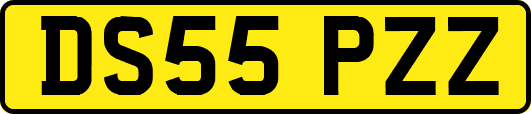 DS55PZZ