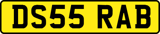 DS55RAB