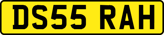 DS55RAH