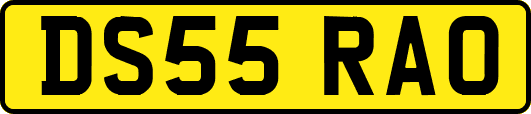 DS55RAO