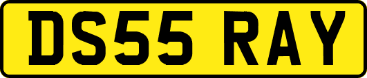 DS55RAY
