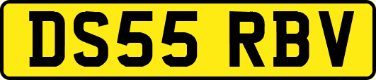 DS55RBV