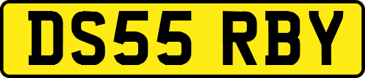 DS55RBY