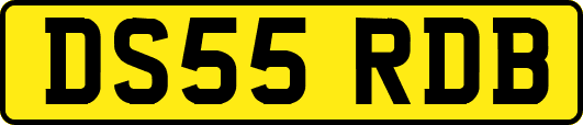 DS55RDB