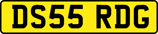 DS55RDG