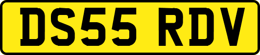 DS55RDV