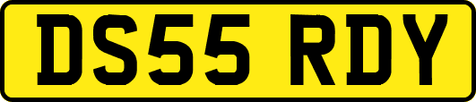 DS55RDY