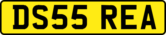 DS55REA