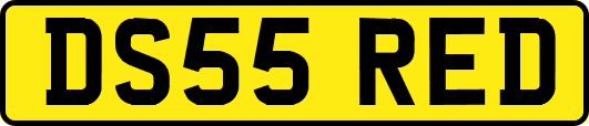 DS55RED