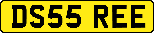 DS55REE