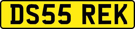 DS55REK