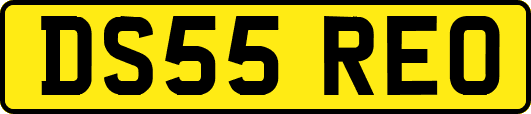 DS55REO