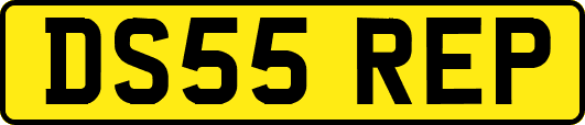 DS55REP