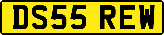 DS55REW
