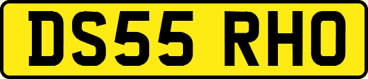DS55RHO