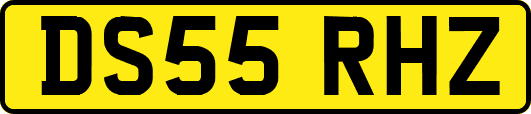 DS55RHZ