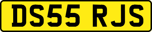 DS55RJS