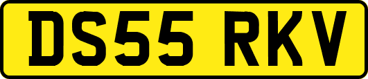 DS55RKV